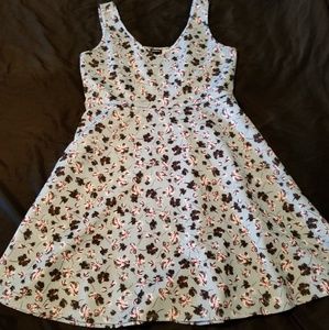 Torrid skater dress